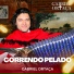 Gabriel Ortaça, Pedro Ortaça