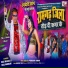 Dilu Dilwala, Raaj Nandani