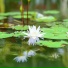 禅修音乐盒
