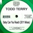 Todd Terry, Rowetta