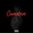 Fein, Young Prodigy Beats, Mts