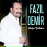 Fazıl Demir