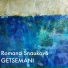 Romana Šnauková