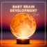 Focus on Brain