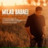 Milad Babaei