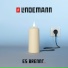 Till Lindemann, Paradise Lost