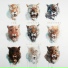 Von Hertzen Brothers