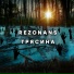 Rezonans