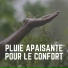 Sons De Pluie HD