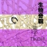 TikChi迪子