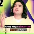Falak Naz Marwat