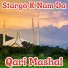 Qari Mashal