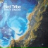 The Bird Tribe