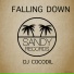 Dj Cocodil