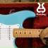 Bluesy Dog