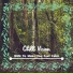 Chill Vision
