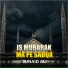 Junaid Ali