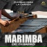 Marimba, Marimba De Chiapas