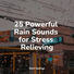 Yoga Rain, Oasis of Meditation, Ready Baby Music!