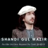 Shandi Gul Wazir