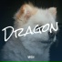 WrcDj