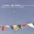 Luka Bloom