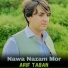 Arif Taban