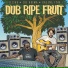 Elijah Salomon feat. Raging Fyah, Joe Ariwa