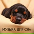 Музыка для Сна