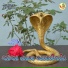 Govind Sanva