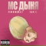 МС ДЫНЯ feat. m1Na