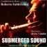 ROBERTO FABBRICIANI feat. Alvise Vidolin