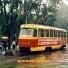 Гербарий