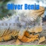 Oliver Benju