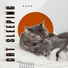 Calm Pets Music Academy