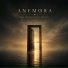Anemora