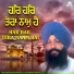 Bhai Satnam Singh Ji Alamgir Wale