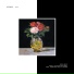 Soulwax feat. Chloë Sevigny