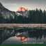 Nature Sounds