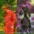 ХУДИ feat. Smalltoy