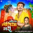 Sonu Sargam Yadav, Shilpi Raj