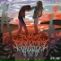 Human Instrumentality Project