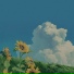 süLofi feat. slmnMORE