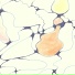 флейц