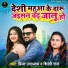 Prince Upadhyay, Shilpi Raj