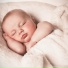 Deep Sleep Seekers