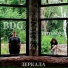 BDG, PETRUSHKA