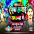 Suraj Rocky
