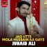 Junaid Ali