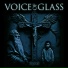Voice of Glass